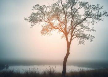 moments that changed everything quietly