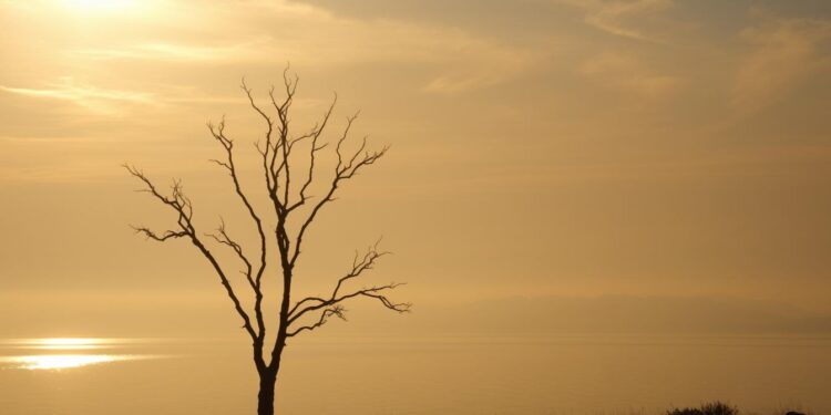 why morning light feels like hope